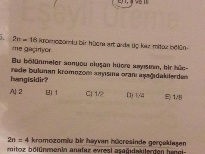 2n = 16 kromozomlu bir hücre art arda üç kez mitoz bölünme geçiriyor.
Bu bölünmeler sonucu oluşan hücre sayısının, bir hücrede bulunan kromozom sayısına oranı aşağıdakilerden hangisidir?
A) 2 B) 1 C) 1/2 D) 1/4 E) 1/8