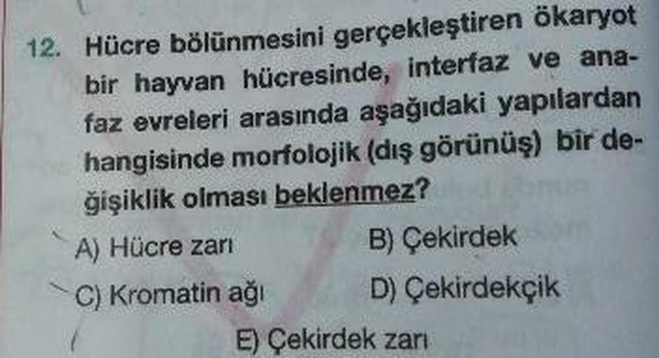 12. Hücre bölünmesini gerçekleştiren ökaryot
bir hayvan hücresinde, interfaz ve ana-
faz evreleri arasında aşağıdaki yapılardan
hangisinde morfolojik (dış görünüş) bir de-
ğişiklik olması beklenmez?
A) Hücre zarı B) Çekirdek
C) Kromatin aği D) Çekirdekçik
