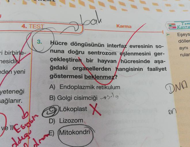 bak
M
4. TESTO
Karma
Tem
Kavra
3.
Eşeys
döller
aynı
rular
ri birbirle-
nesidint
eden yeni
Hücre döngüsünün interfaz evresinin so-
nuna doğru sentrozom eşlenmesini ger-
çekleştiren bir hayvan hücresinde aşa-
ğıdaki organellerden hangisinin faaliyet
gösterme