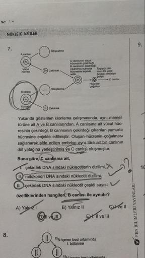 NÜKLEİK ASİTLER
MÜKLEIK Aster
A continuout
hücresinin çekirdegi
calisinin çokol
çıkarılmas yumurta Tarici can-
hücresine enjekte in dol yata
Oindaki ombryo
can
HOG
၄
llar,
Çekirdek
Yukarıda gösterilen klonlama çalışmasında, ayni memeli
türüne ait A ve B ca