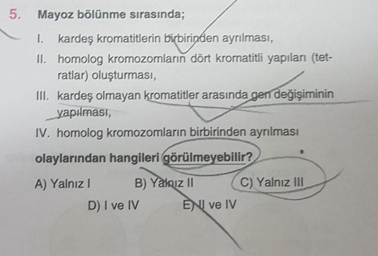 Mayoz bölünme sırasında; I. kardeş kromatitlerin birbirinden ayrılması, II. homolog kromozomların dört kromatitli yapıları (tetratlar) oluşturması, III. kardeş olmayan kromatitler arasında gen değişiminin yapılması, IV. homolog kromozomların