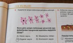 FEN BİLİMLERİ
9. Aşağıda bir amipin bölünmesi şematize edilmiştir.
11. Döllenme olayınd
embriyo, uygun
ki oluşur. Bu geliu
landırılır.
Buna göre amipin bölünmesi sürecinde aşa-
ğıdakilerden hangisinde kesinlikle değişiklik
olmaz?
A) Hücre sayisi B) Sitoplazma miktarı
C) Organel sayısı D) Kromozom sayısı
Fasulye tohu
Hücrelerin
çekleşmiş