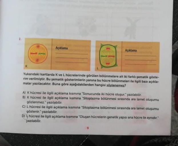 Açıklama
Açıklama
Yukarıdaki kartlarda Kve L hücrelerinde görülen bölünmelere ait iki farkli gematik göste-
rim verilmiştir. Bu şematik gösterimlerin yanına bu hücre bölünmeleri ile ilgili bazı açıkla
malar yazılacaktır. Buna göre aşağıdakilerden hangisi s