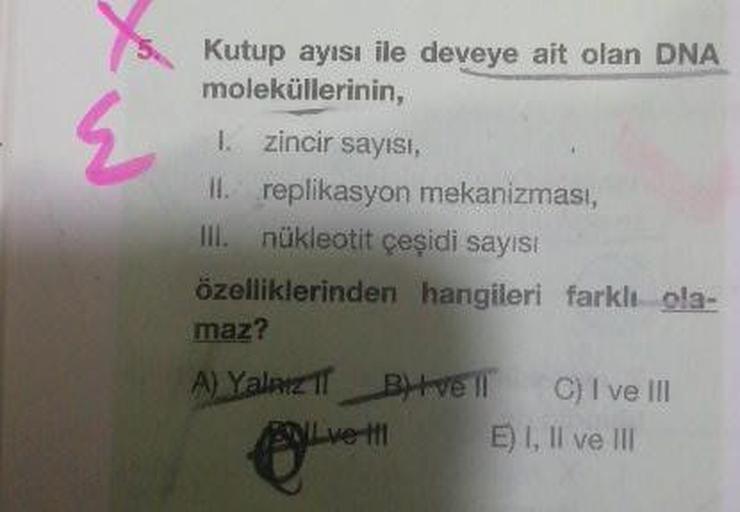 5 Kutup ayısı ile deveye ait olan DNA
moleküllerinin,
I. zincir sayıSI,
II. replikasyon mekanizması,
III. nükleotit çeşidi sayısı
özelliklerinden hangileri farklı ola-
maz?
A) Yalnız
BHV II
PNLve t1
C) I ve III
E) I, Il ve lII