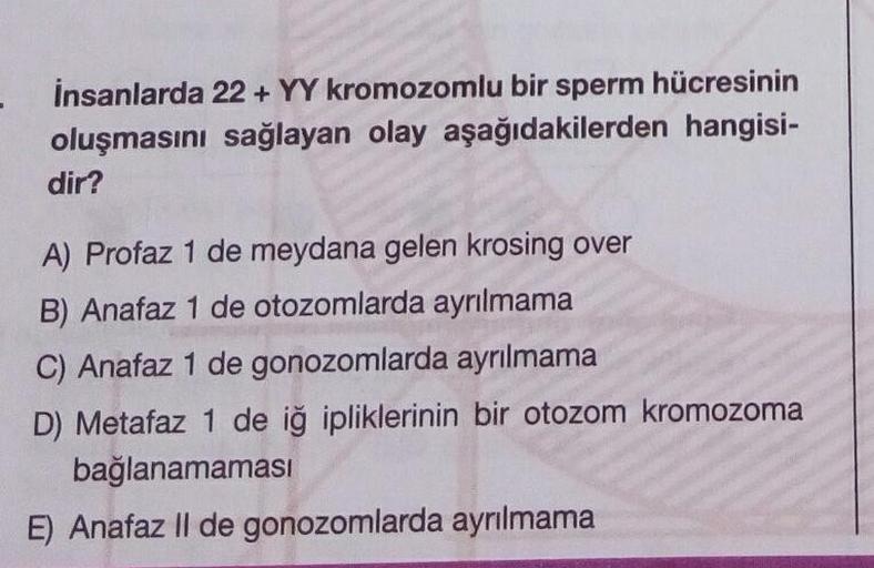İnsanlarda 22 + YY kromozomlu bir sperm hücresinin
oluşmasını sağlayan olay aşağıdakilerden hangisi-
dir?
A) Profaz 1 de meydana gelen krosing over
B) Anafaz 1 de otozomlarda ayrılmama
C) Anafaz 1 de gonozomlarda ayrılmama
D) Metafaz 1 de iğ ipliklerinin b
