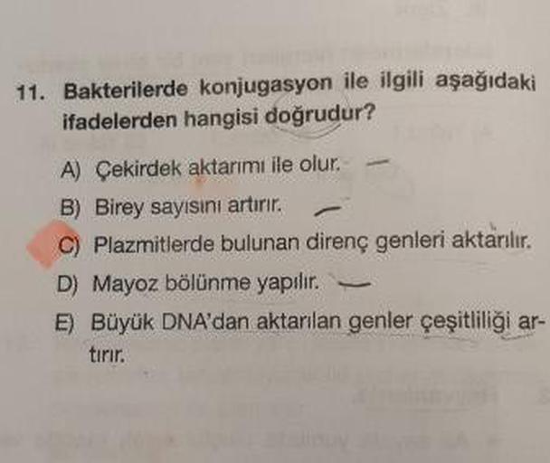 11. Bakterilerde konjugasyon ile ilgili aşağıdaki
ifadelerden hangisi doğrudur?
A) Çekirdek aktarımı ile olur.
B) Birey sayısını artırır.
C) Plazmitlerde bulunan direnç genleri aktarılır.
D) Mayoz bölünme yapılır.
E) Büyük DNA'dan aktarılan genler çeşitlil