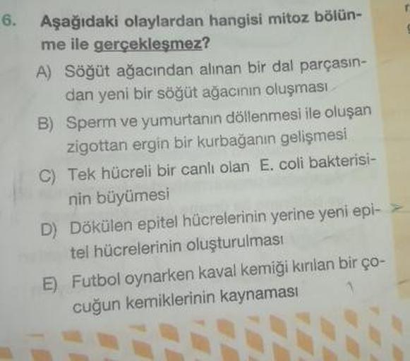 6.
Aşağıdaki olaylardan hangisi mitoz bölün-
me ile gerçekleşmez?
A) Söğüt ağacından alınan bir dal parçasın-
dan yeni bir söğüt ağacının oluşması
B) Sperm ve yumurtanın döllenmesi ile oluşan
zigottan ergin bir kurbağanın gelişmesi
C) Tek hücreli bir canli