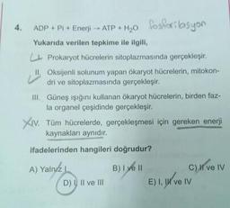 ADP + Pi + Enerji -- ATP + H20 Sosvoribusyon
Yukarıda verilen tepkime ile ilgili,
Prokaryot hücrelerin sitoplazmasında gerçekleşir.
II. Oksijenli solunum yapan ökaryot hücrelerin, mitokon-
dri ve sitoplazmasında gerçekleşir.
III. Güneş ışığını kullanan ökaryot hücrelerin, birden faz-
la organel çeşidinde gerçekleşir.
XIV. Tüm hücrelerde, gerçekleşmesi için gereken enerji
kaynakları aynıdır.
ifadelerinden hangileri doğrudur?
A) Yalnız 1 B) I ve II C) # ve IV
D)) II ve III
E) I, II ve IV