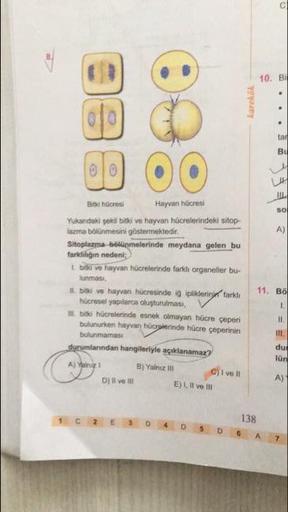 karekök
038
Bitki hücresi Hayvan hücresi
Yukarıdaki şekil bitki ve hayvan hücrelerindeki sitop-
lazma bölünmesini göstermektedir.
Sitoplazma bölünmelerinde meydana gelen bu
farkliliğin nedeni;
I bi ve hayvan hücrelerinde farkli organeller bu-
lunmasi
I bid