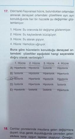 17. Dört farkli hayvansal hücre, bulundukları ortamdan
alınarak deneysel ortamdaki çözeltilere ayn aynı
konulduğunda her bir hücrede şu değişimler göz
lemleniyor.
1. Hücre: Su oranında bir değişme gözlenmiyor.
2. Hücre: Su kaybederek büzüşüyor.
3. Hücre: Su alarak şişiyor.
4. Hücre: Hemolize uğruyor.
Buna göre hücrelerin konulduğu deneysel or-
tamdaki çözeltiler aşağıdaki hangi seçenekte
doğru olarak verilmiştir?
1. Hücre 2. Hücre 3. Hücre 4. Hücre
A) Hipertonik Hipotonik Izotonik Hipotonik
B) Izotonik Hipotonik Hipertonik Hipertonik
c) izotonik Hipertonik Hipotonik Hipotonik
D) Izotonik Hipertonik Hipotonik izotonik
E) Hipotonik Izotonik izotonik Hipertonik
18. Canlılar çevrelerinde meydana gelen değişimlere
duyarli olup gerek duyulduğunda çevreden gelen
etkilere karşı uygun tepkiler oluşturur. Omneğin;
