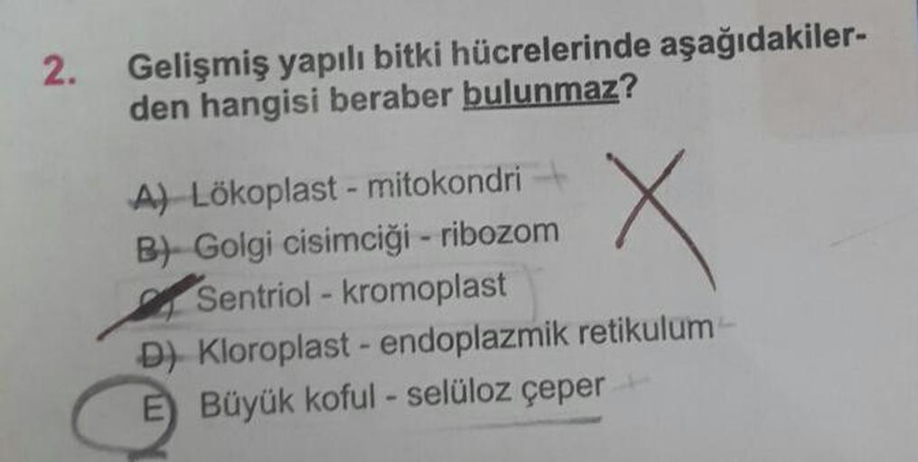 2.
Gelişmiş yapılı bitki hücrelerinde aşağıdakiler-
den hangisi beraber bulunmaz?
A) Lökoplast - mitokondri+
B) Golgi cisimciği - ribozom
Sentriol - kromoplast
D) Kloroplast - endoplazmik retikulum
E) Büyük koful - selüloz çeper
C

