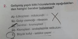 2.
Gelişmiş yapılı bitki hücrelerinde aşağıdakiler-
den hangisi beraber bulunmaz?
A) Lökoplast - mitokondri+
B) Golgi cisimciği - ribozom
Sentriol - kromoplast
D) Kloroplast - endoplazmik retikulum
E) Büyük koful - selüloz çeper
C
