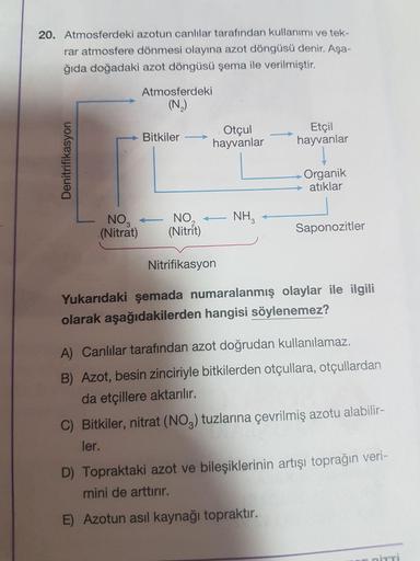 20. Atmosferdeki azotun canlılar tarafından kullanımı ve tek-
rar atmosfere dönmesi olayına azot döngüsü denir. Aşa-
ğıda doğadaki azot döngüsü şema ile verilmiştir.
Atmosferdeki
(N,)
Otçul
hayvanlar
Etçil
hayvanlar
Bitkiler
Organik
atıklar
NO,
(Nitrat)
NO