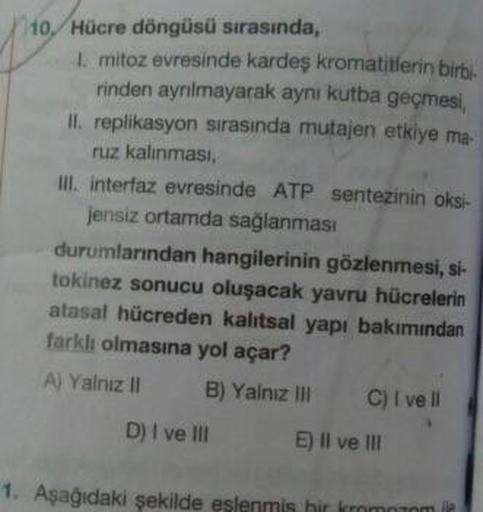 10 Hücre döngüsü sırasında,
1. mitoz evresinde kardeş kromatitlerin birbi-
rinden ayrılmayarak aynı kutba geçmesi,
II. replikasyon sırasında mutajen etkiye ma-
ruz kalınmasıI,
II. interfaz evresinde ATP sentezinin oksi-
jensiz ortamda sağlanması
durumların