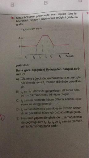 Mitoz bölünme geçirmekte olan diploid (2n) bir
hücrenin kromozom sayısındaki değişimi gösteren
grafik;
Buna göre aşağıdaki ifadelerden hangisi doğrudur?
A) Bölünme sürecinde kromozomların en net görülebileceği evre t, zaman diliminde gerçekleşir.