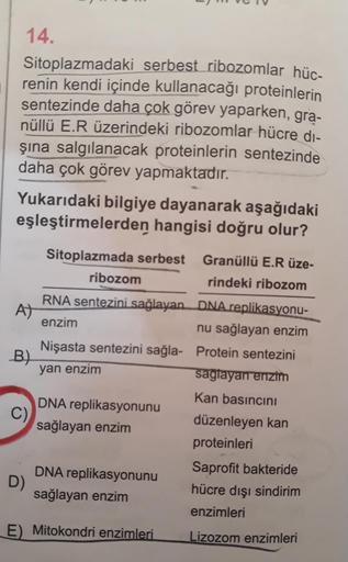 14.
Sitoplazmadaki serbest ribozomlar hüc.
renin kendi içinde kullanacağı proteinlerin
sentezinde daha çok görev yaparken, gra-
nüllü E.R üzerindeki ribozomlar hücre di-
şına salgılanacak proteinlerin sentezinde
daha çok görev yapmaktadır.
Yukarıdaki bilgi