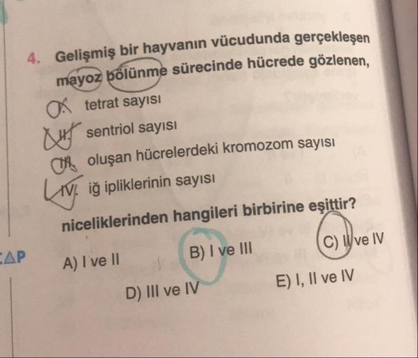 Gelişmiş bir hayvanın vücudunda gerçekleşen mayoz bölünme sürecinde hücrede gözlenen.
I tetrat sayısı
II sentriol sayısı
III oluşan hücrelerdeki kromozom sayısı
IV. iğ ipliklerinin sayısı
niceliklerinden hangileri birbirine eşittir?
A) I ve II
B) I v