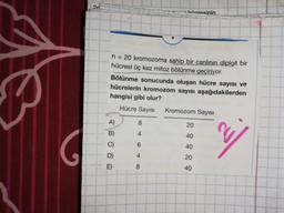 bannesinin
n = 20 kromozoma sahip bir canlının diploit bir
hücresi üç kez mitoz bölünme geçiriyor.
Bölünme sonucunda oluşan hücre sayısı ve
hücrelerin kromozom sayısı aşağıdakilerden
hangisi gibi olur?
Hücre Sayısı Kromozom Sayısı
A) 8
C)
D
6
4