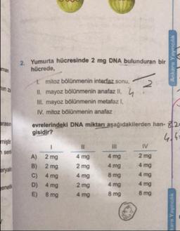 Ankara Yayıncılık
in z
2. Yumurta hücresinde 2 mg DNA bulunduran bir
hücrede,
1 mitoz bölünmenin interfaz sonu,
II. mayoz bölünmenin anafaz ll.
Ill. mayoz bölünmenin metafaz I.
IV. mitoz bölünmenin anafaz
evrelerindeki DNA miktarı aşağıdakilerden han- 7/21
gisidir?
arasin
miştir
IV
sent
4 mg
2 mg
eryal
A) 2 mg
B) 2 mg
C) 4 mg
D) 4 mg
E) 8 mg
4 mg
4 mg
8 mg
4 mg
8 mg
4 mg
2 mg
4 mg
2 mg
4 mg
4 mg
4 mg
8 mg
eneti
kara Yayıncılık