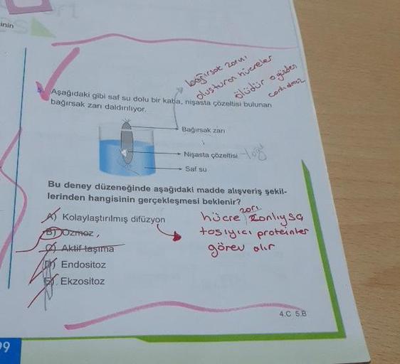 inin
Aşağıdaki gibi saf su dolu bir kaba, nişasta çözeltisi bulunan
bağirsak zarı daldırıyor.
3.
bogarsok zorni
dlusturor hücreler
la po ludur ogirsen
'butu cordialmer
Bağırsak zan
- Nişasta çözeltisi
- Saf su
пос
Bu deney düzeneğinde aşağıdaki madde alışv