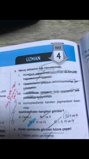 TEST
2. Biry
ŠIC
UZMAN
3. Havuç bitkisinin kök hücrelerinde;
1. kloroplast organeliiido E etkisi ile kimyasal
bağ enerjisinin oluşması
S II. lökoplastlarda glikozun dehidrasyonunun ger
çekleşmesi
here, UllI. mitokondride kimyasal bağ enerjisinin AFP
Sentez