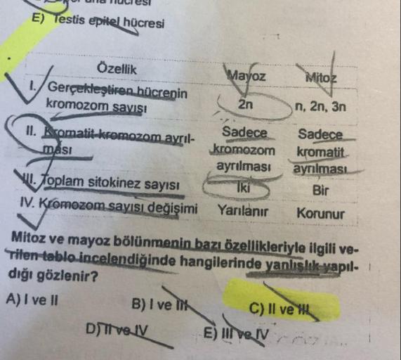 I. Gerçekleştiren hücrenin kromozom sayısı
II. Kromatit-kromozom ayrılması
III. Toplam sitokinez sayısı
IV. Kromozom sayısı değişimi
Mitoz ve mayoz bölünmenin bazı özellikleriyle ilgili verilen tablo incelendiğinde hangilerinde yanlışlık yapıldığ