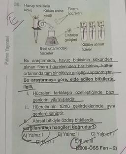 36. Havuç bitkisinin
Kökün enine
kesiti
kökü
Floem
hücreleri
Embriyo
gelişimi
Kültüre alınan
Besi ortamındaki
fideler
hücreler
Bu araştırmada, havuç bitkisinin kökünden
alınan floem hücrelerinden her birinin, kültür
ortamında tam bir bitkiye.geliştiği saptanmıştır.
Bu araştırmaya göre, elde edilen bitkilerle
ilgili,
1. Hücreleri farklılaşıp özelleştiğinde bazı
genlerini yitirmişlerdir.
II. Hücrelerinin tümü çekirdeklerinde aynı
genlere sahiptir.
H. Atasal bitkiyle özdeş bitkilerdir.
yargılarından hangileri doğrudur?
A) Yalnız I
B) Yalnız II
C) Yalpız I
EYL ve 11
(2009-ÖSS Fen - 2)
Palme Yayınevi