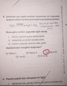 8. İçerisinde çok çeşitli enzimler bulunduran bir organelde
aşağıda verilen biyokimyasal tepkime gerçekleşmektedir.
HO, Katalaz H0+10 Peroksí souda
2 ribozon var
mi?
Buna göre verilen organelle ilgili olarak,
1. Zarsız organel grubu içerisindedir.
II. Kullandığı enzimleri kendisi üretir.
III. Zehirli molekülü zehirsiz hâle getirir.
ifadelerinden hangileri doğrudur?
MEB 2018 - 2019 • Ölçme, Degerlendirme ve Sınav Hizmetleri Genel Müdürlügü
A) Yalnız I. B) Yalnız II. c) Yalnız III.
D) I ve III.
E) II ve III.
9. Plastid çeşidi olan lökoplast ile ilgiliz
1. Bitkilerde kök, gövde, tohum ve yumru kısımlarında
