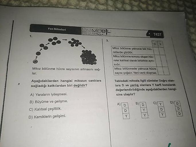 MOBIL
TEST
Mitoz bölünme yalnızca tok hoc
relilerde görülür.
Mitoz bölünme sonucu oluşan hoc
relec kalitsal olarak birbirinin aynte
sidir.
Mitoz bölünmede yalnızca hücre
sayısı çoğalır. Yeni canh oluşmaz.
Mitoz bölünme hücre sayisinin artmasini sağ-
lar.
A