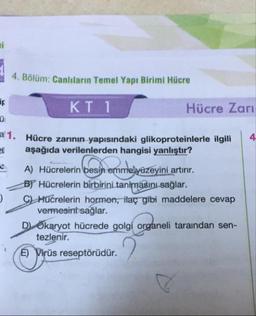 4. Bölüm: Canlıların Temel Yapı Birimi Hücre
F
KI 1
Hücre Zari
E
1. Hücre zarının yapısındaki glikoproteinlerle ilgili
aşağıda verilenlerden hangisi yanlıştır?
A) Hücrelerin besin emme yüzeyini artırır.
BY Hücrelerin birbirini tanimasını sağlar.
© Hücrelerin hormon, ilaç gibi maddelere cevap
vermesini sağlar.
D Ökaryot hücrede golgi organeli taraindan sen-
tezlenir.
E) Virüs reseptörüdür.
