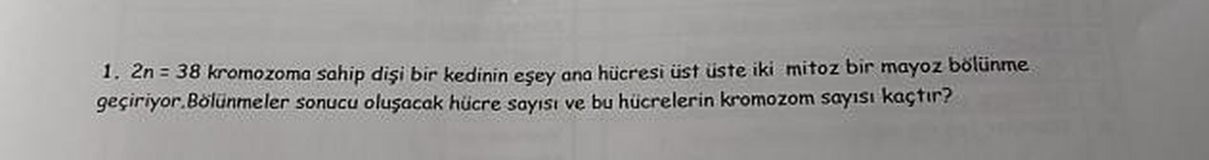 1. Zn = 38 kromozoma sahip disi bir kedinin esey ana hücresi üst üste iki mitoz bir mayoz bölünme
geçiriyor. Bölünmeler sonucu oluşacak hücre savisi ve bu hücrelerin kromozom sayısı kaçtır?