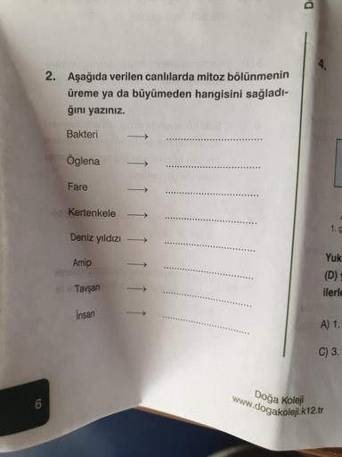 2. Aşağıda verilen canlılarda mitoz bölünmenin
üreme ya da büyümeden hangisini sağladi-
ğını yazınız.
Bakteri
um Öglena
Fare
-od Kertenkele
1.
Deniz yıldızı
Amip
Yuk
(D)
ilerle
oli e Tavşan
insan
A) 1.
C) 3.
Doğa Koleji
www.dogakoleji.
dogakoleji.k12.tr
