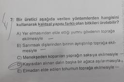 Bir üretici aşağıda verilen yöntemlerden hangisini kullanarak kalıtsal yapısı farklı olan bitkileri üretebilir?
A) Yer elmasından elde ettiği yumru gövdenin toprağa ekilmesiyle
B) Sarımsak dişlerinden birinin ayrıştırılıp toprağa ekilmesiyle
C) Menekşeden koparılan yaprağın saksıya ekilmesiyle
D) Kayısıdan alınan dalın başka bir ağaca aşılanmasıyla
E) Elmadan elde edilen tohumun toprağa ekilmesiyle