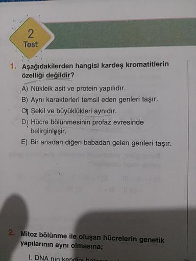 Test
1. Aşağıdakilerden hangisi kardeş kromatitlerin
özelliği değildir?
A) Nükleik asit ve protein yapılıdır.
B) Aynı karakterleri temsil eden genleri taşır.
Şekil ve büyüklükleri aynıdır.
D) Hücre bölünmesinin profaz evresinde
belirginleşir.
E) Bir anadan