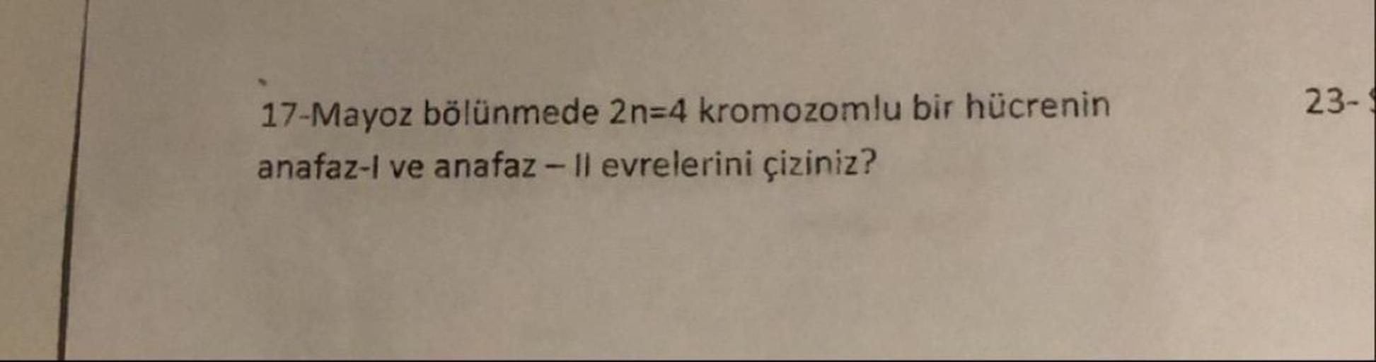 23-
17-Mayoz bölünmede 2n=4 kromozomlu bir hücrenin
anafaz-I ve anafaz- Il evrelerini çiziniz?
