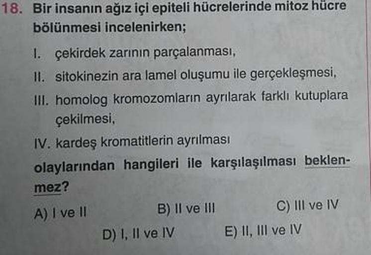 18. Bir insanın ağız içi epiteli hücrelerinde mitoz hücre
bölünmesi incelenirken;
I. çekirdek zarının parçalanması,
II. sitokinezin ara lamel oluşumu ile gerçekleşmesi,
III. homolog kromozomların ayrılarak farklı kutuplara
çekilmesi,
IV. kardeş kromatitler