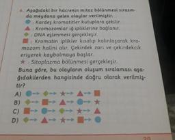 6. Aşağıdaki bir hücrenin mitoz bölünmesi sırasın-
da meydana gelen olaylar verilmiştir.
Kardeş kromatitler kutuplara çekilir.
A : Kromozomlar iğ ipliklerine bağlanır.
: DNA eşlenmesi gerçekleşir.
Kromatin iplikler kısalıp kalınlaşarak kro-
mozom halini alır. Çekirdek zarı ve çekirdekcik
eriyerek kaybolmaya başlar.
*: Sitoplazma bölünmesi gerçekleşir.
Buna göre, bu olayların oluşum sıralaması aşa-
ğıdakilerden hangisinde doğru olarak verilmiş-
tir?
A) - - - -
B) - - - -
D)
-
-
-