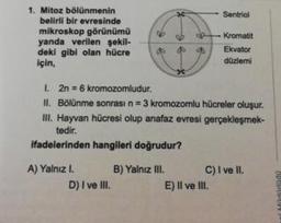 Sentriol
1. Mitoz bölünmenin
belirli bir evresinde
mikroskop görünümü
yanda verilen şekil
deki gibi olan hücre
için,
ob
k
romatit
Ekvator
düzlemi
1. 2n = 6 kromozomludur.
II. Bölünme sonrası n = 3 kromozomlu hücreler oluşur.
Ill. Hayvan hücresi olup anafaz evresi gerçekleşmek-
tedir.
ifadelerinden hangileri doğrudur?
A) Yalnızl. B) Yalnız III. C) I ve II.
D) I ve III.
E) Il ve III.
OOPPUN