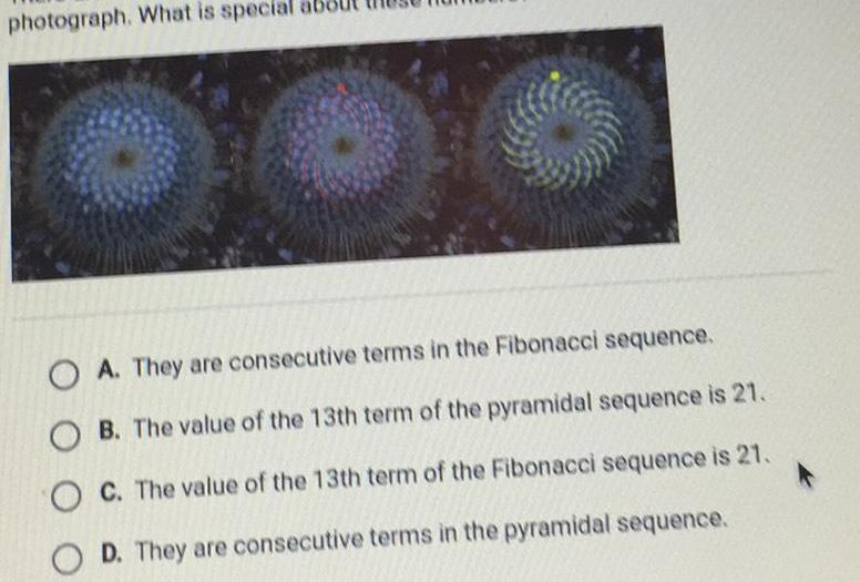 photograph What is special about A They are consecutive terms in the Fibonacci sequence B The value of the 13th term of the pyramidal sequence is 21 C The value of the 13th term of the Fibonacci sequence is 21 D They are consecutive terms in the pyramidal sequence O