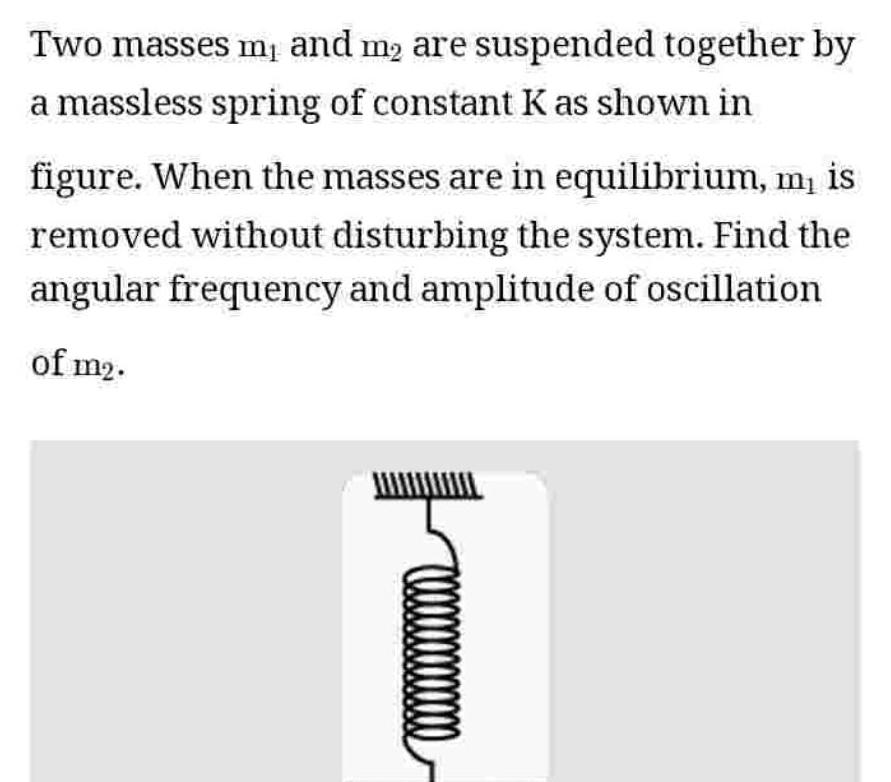 Two masses m and m are suspended together by a massless spring of constant K as shown in figure When the masses are in equilibrium m is removed without disturbing the system Find the angular frequency and amplitude of oscillation of m2