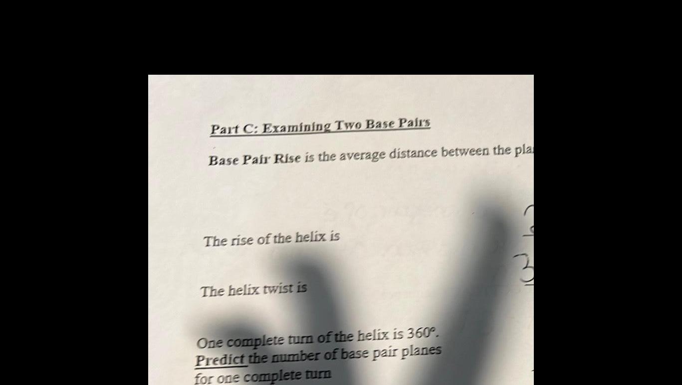 Part C Examining Two Base Pairs Base Pair Rise is the average distance between the pla The rise of the helix is The helix twist is One complete turn of the helix is 360 Predict the number of base pair planes for one complete turn