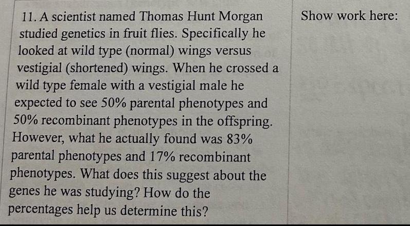 11 A scientist named Thomas Hunt Morgan studied genetics in fruit flies Specifically he looked at wild type normal wings versus vestigial shortened wings When he crossed a wild type female with a vestigial male he expected to see 50 parental phenotypes and 50 recombinant phenotypes in the offspring However what he actually found was 83 parental phenotypes and 17 recombinant phenotypes What does this suggest about the genes he was studying How do the percentages help us determine this Show work here