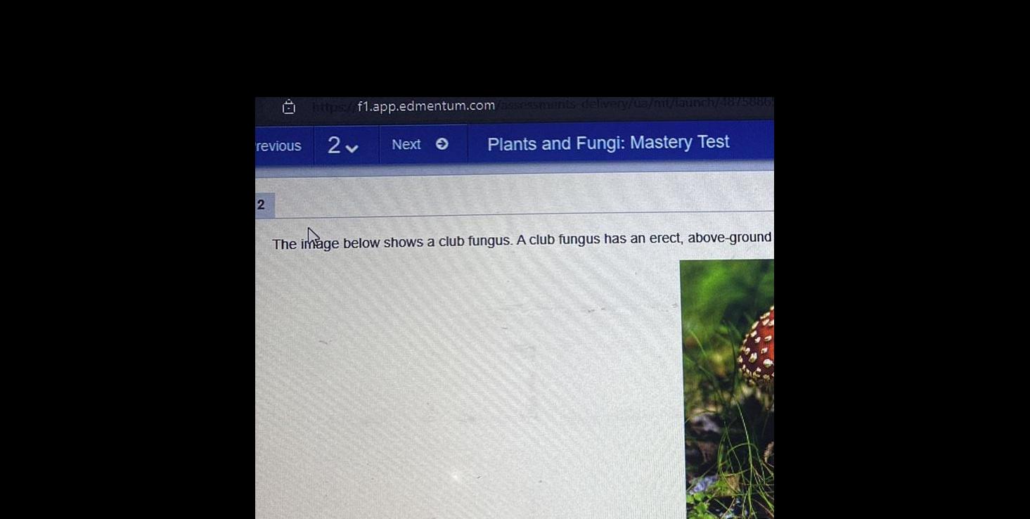 0 revious 2 https f1 app edmentum com assessments delivery ua mt launch 48 5886 2 v Next Plants and Fungi Mastery Test The image below shows a club fungus A club fungus has an erect above ground