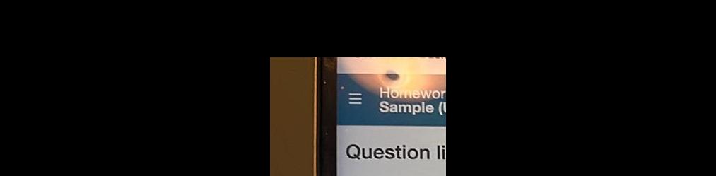 Homewor Sample Question li