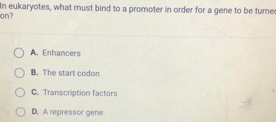 In eukaryotes what must bind to a promoter in order for a gene to be turnec on OA Enhancers OB The start codon C Transcription factors D A repressor gene